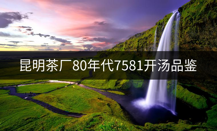 昆明茶廠80年代7581開(kāi)湯品鑒 昆明茶廠80年代7581開(kāi)湯品鑒