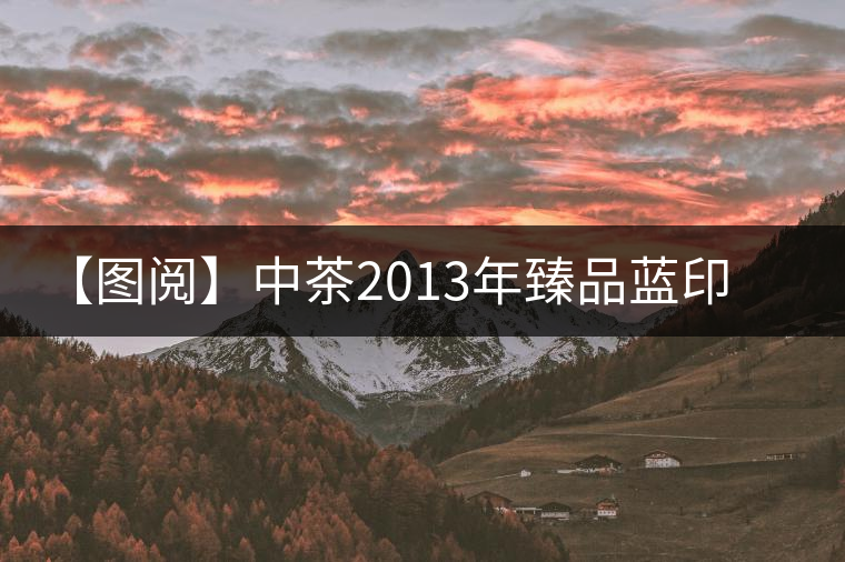 【圖閱】中茶2013年臻品藍印開湯 【圖閱】中茶2013年臻品藍印開湯