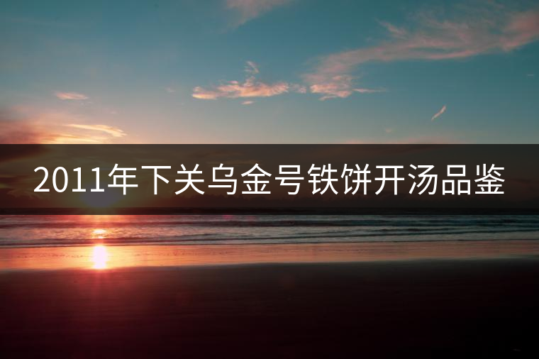 2011年下關(guān)烏金號(hào)鐵餅開湯品鑒 2011年下關(guān)烏金號(hào)鐵餅開湯品鑒
