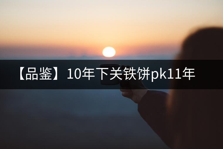 【品鑒】10年下關鐵餅pk11年下關鐵餅 【品鑒】10年下關鐵餅pk11年下關鐵餅