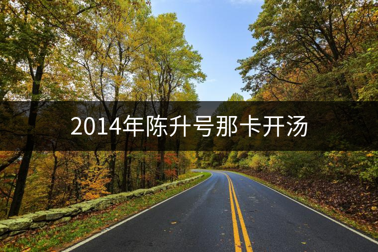 2014年陳升號(hào)那卡開湯 2014年陳升號(hào)那卡開湯