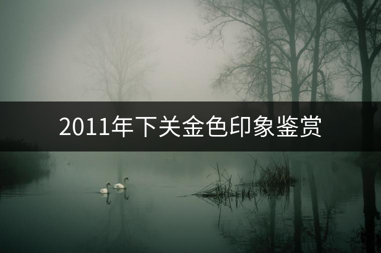 2011年下關金色印象鑒賞