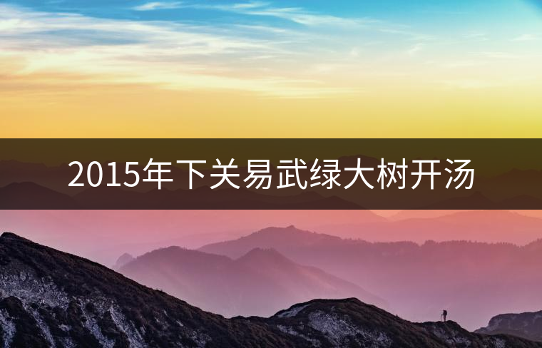 2015年下關(guān)易武綠大樹開湯 2015年下關(guān)易武綠大樹開湯