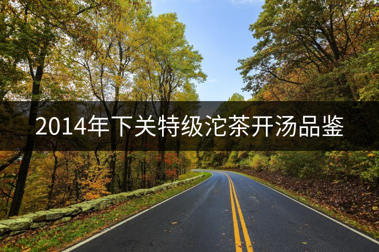 2014年下關(guān)特級沱茶開湯品鑒