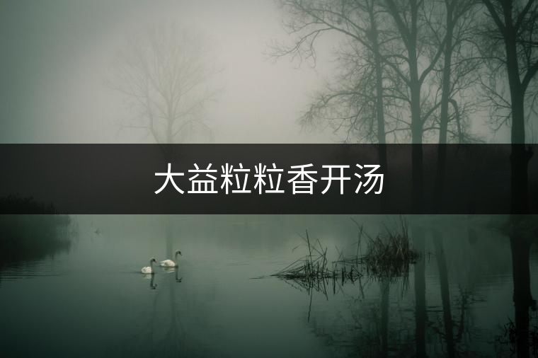 大益粒粒香開湯