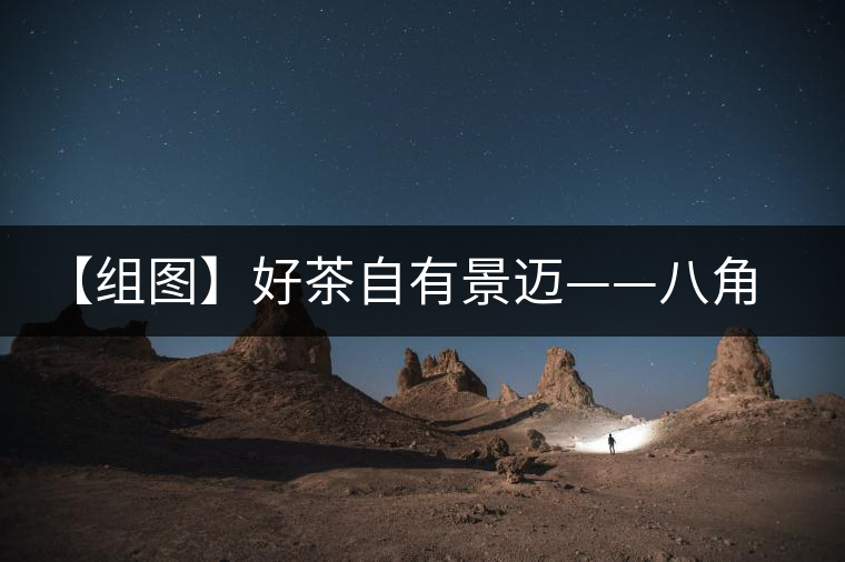 【組圖】好茶自有景邁——八角亭大典景邁開(kāi)湯 【組圖】好茶自有景邁——八角亭大典景邁開(kāi)湯