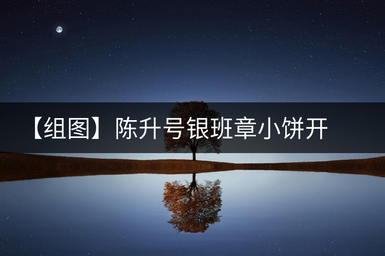 【組圖】陳升號(hào)銀班章小餅開(kāi)湯 【組圖】陳升號(hào)銀班章小餅開(kāi)湯
