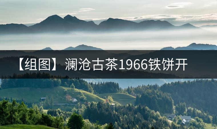 【組圖】瀾滄古茶1966鐵餅開(kāi)湯