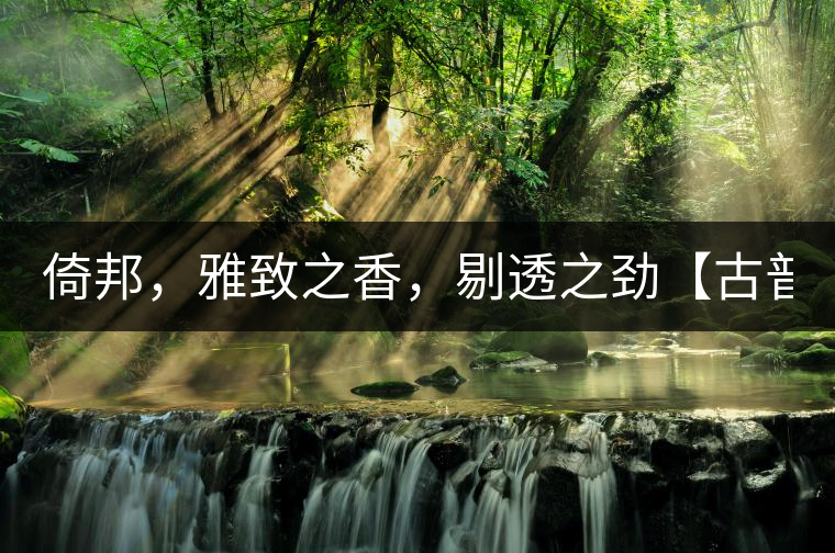 倚邦，雅致之香，剔透之勁【古普十二山品鑒】