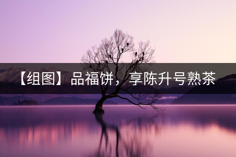 【組圖】品福餅，享陳升號熟茶滋味