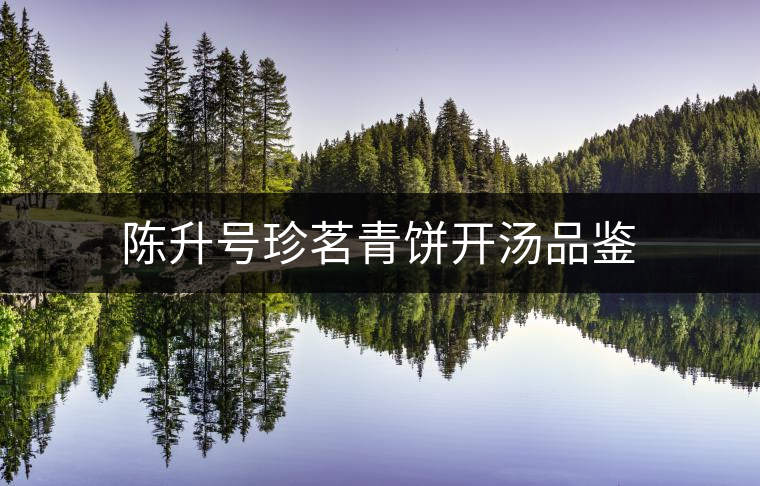 陳升號珍茗青餅開湯品鑒 陳升號珍茗青餅開湯品鑒