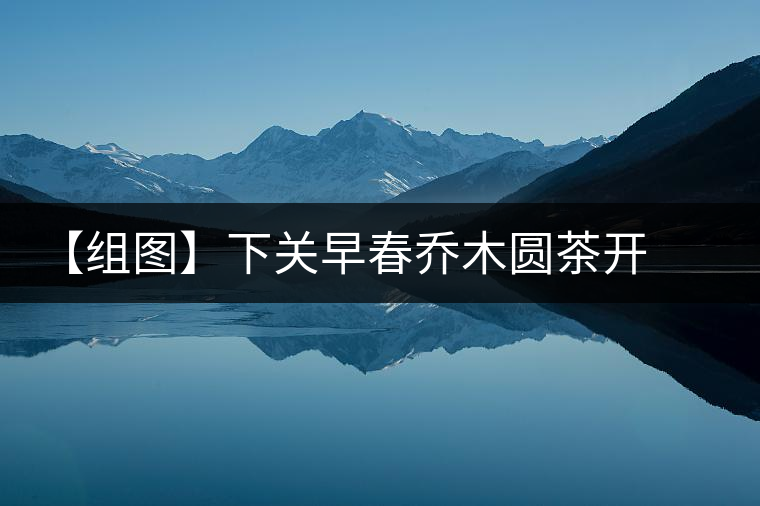 【組圖】下關(guān)早春?jiǎn)棠緢A茶開湯 【組圖】下關(guān)早春?jiǎn)棠緢A茶開湯
