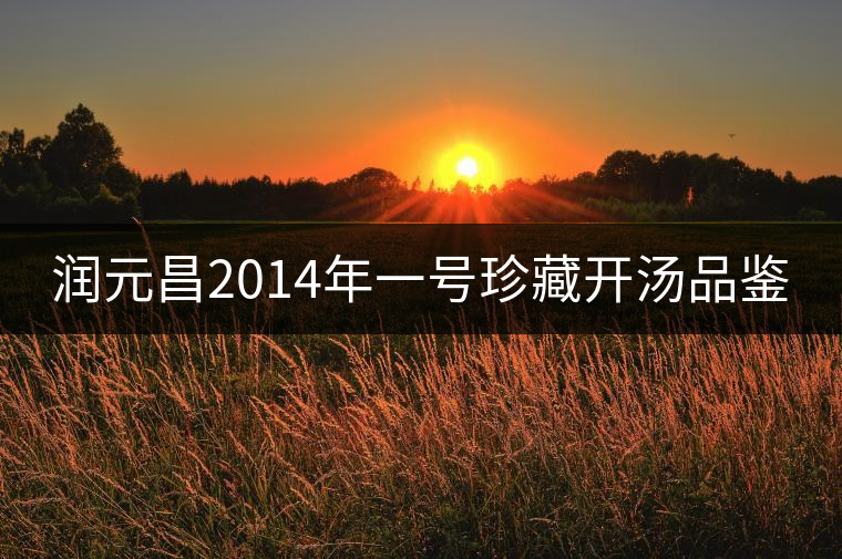 潤(rùn)元昌2014年一號(hào)珍藏開(kāi)湯品鑒 潤(rùn)元昌2014年一號(hào)珍藏開(kāi)湯品鑒