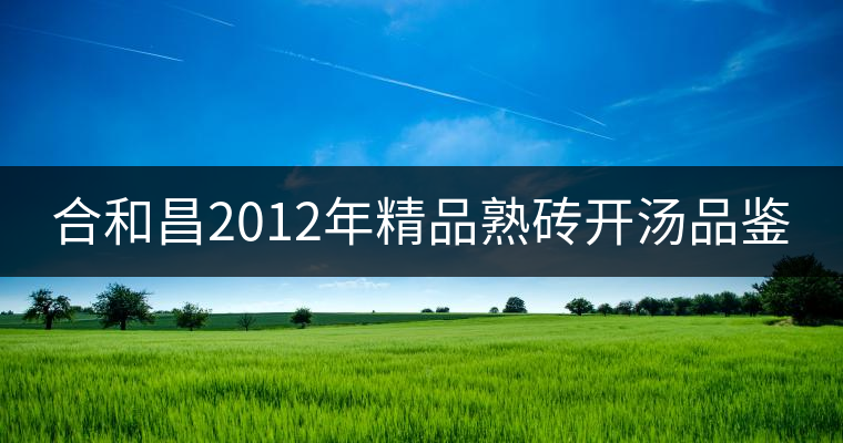 合和昌2012年精品熟磚開湯品鑒 合和昌2012年精品熟磚開湯品鑒