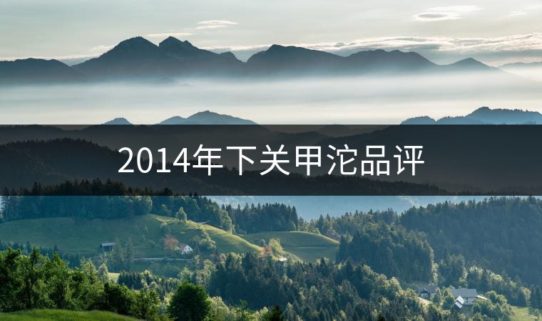 2014年下關(guān)甲沱品評(píng) 2014年下關(guān)甲沱品評(píng)