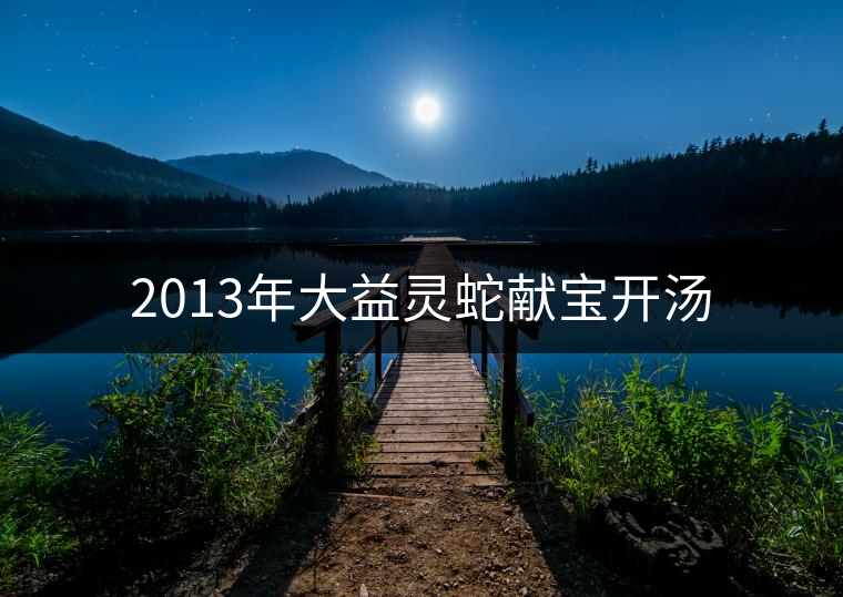 2013年大益靈蛇獻寶開湯 2013年大益靈蛇獻寶開湯