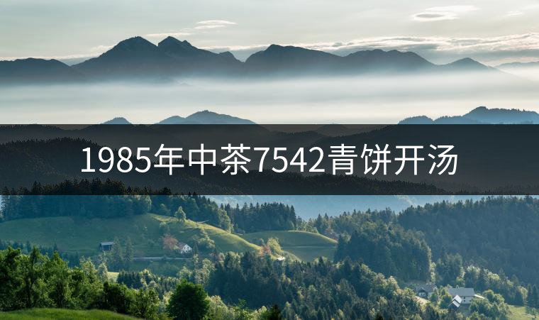 1985年中茶7542青餅開湯 1985年中茶7542青餅開湯