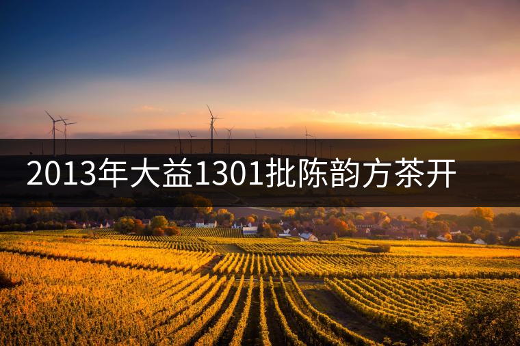 2013年大益1301批陳韻方茶開(kāi)湯品鑒