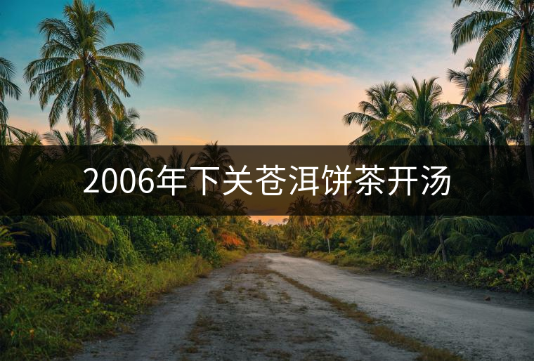 2006年下關(guān)蒼洱餅茶開湯 2006年下關(guān)蒼洱餅茶開湯