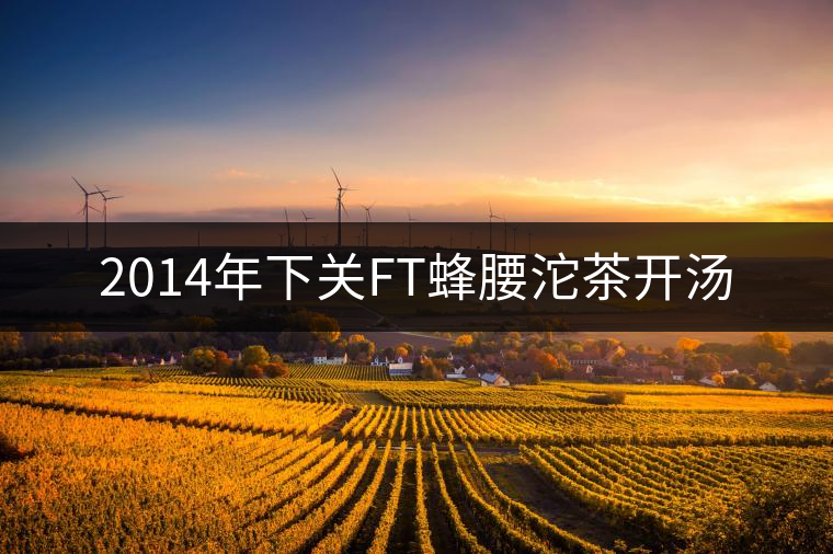 2014年下關(guān)FT蜂腰沱茶開湯 2014年下關(guān)FT蜂腰沱茶開湯