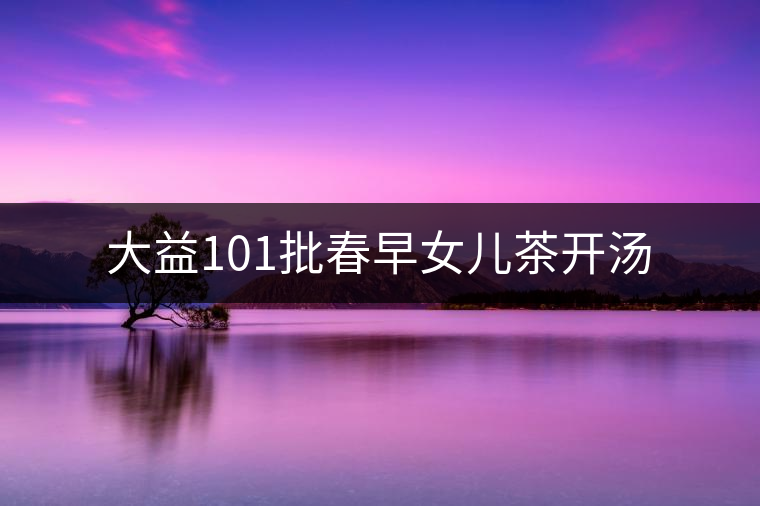大益101批春早女兒茶開湯 大益101批春早女兒茶開湯