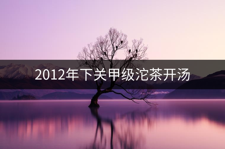 2012年下關(guān)甲級沱茶開湯 2012年下關(guān)甲級沱茶開湯