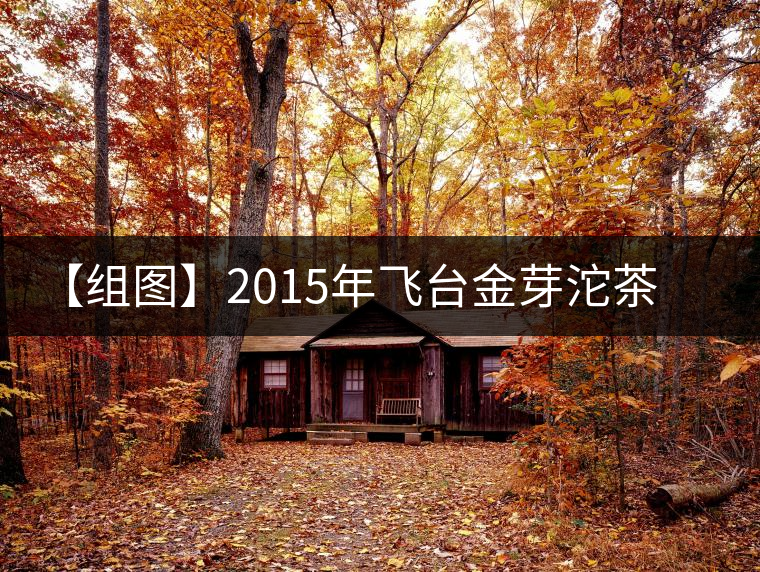 【組圖】2015年飛臺(tái)金芽沱茶開(kāi)湯 【組圖】2015年飛臺(tái)金芽沱茶開(kāi)湯