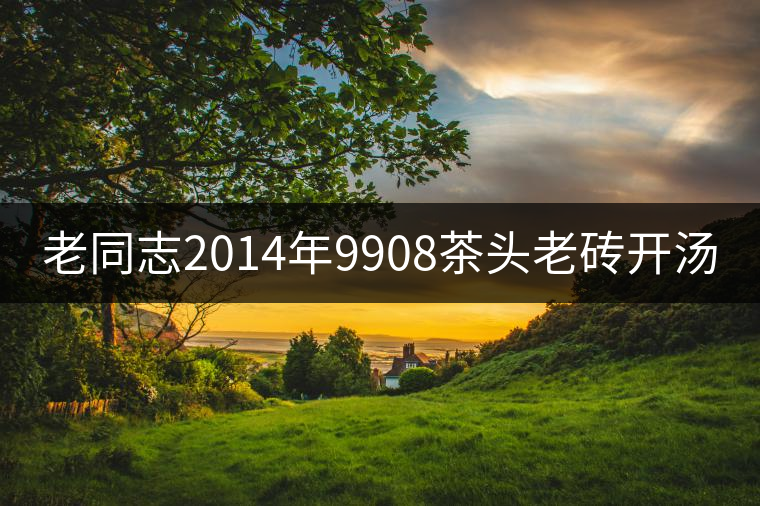 老同志2014年9908茶頭老磚開湯 老同志2014年9908茶頭老磚開湯