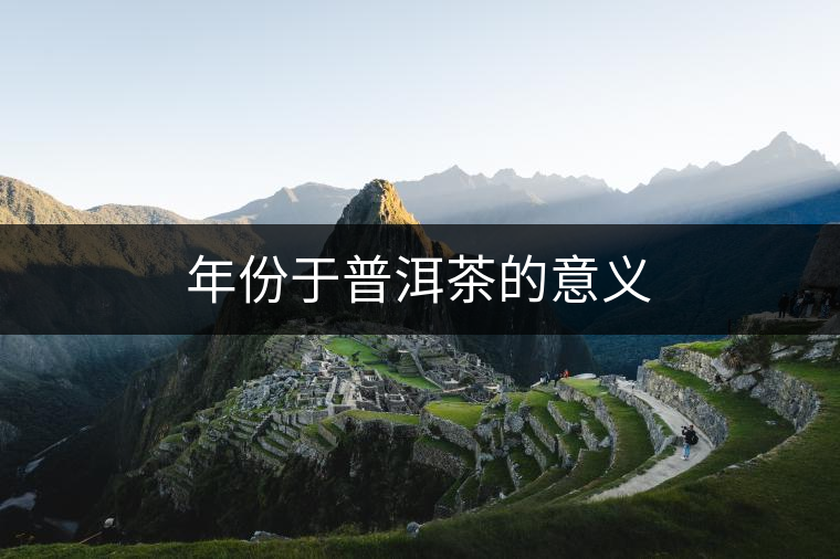 年份于普洱茶的意義