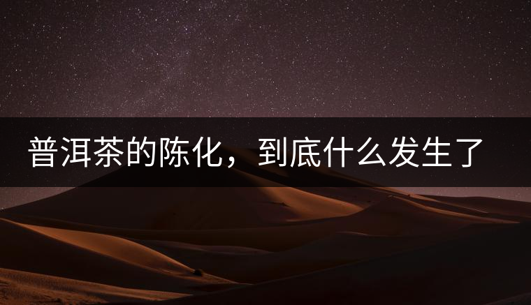 普洱茶的陳化，到底什么發(fā)生了哪些變化？