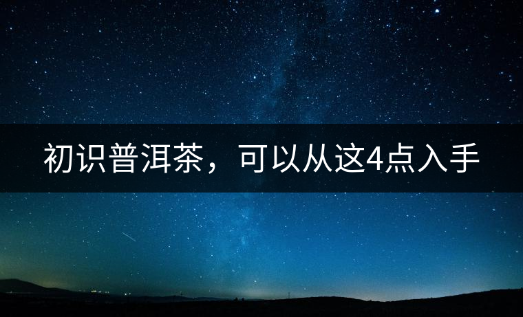 初識普洱茶，可以從這4點入手