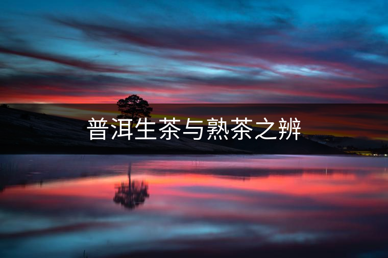 普洱生茶與熟茶之辨 普洱生茶與熟茶之辨