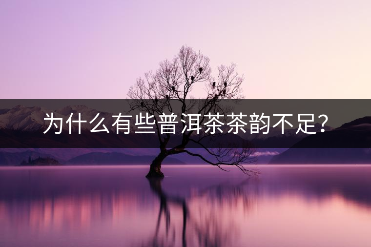 為什么有些普洱茶茶韻不足？