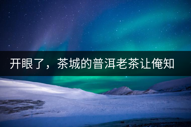 開(kāi)眼了，茶城的普洱老茶讓俺知道了老茶樹(shù)