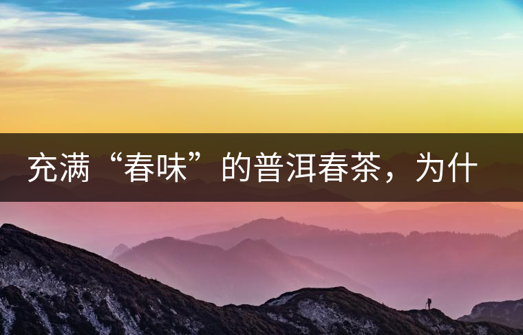 充滿“春味”的普洱春茶，為什么值得期待？