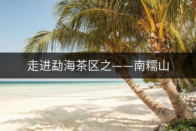 走進勐海茶區(qū)之——南糯山 走進勐海茶區(qū)之——南糯山