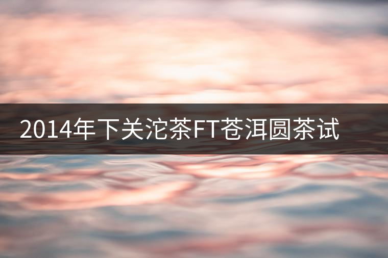 2014年下關(guān)沱茶FT蒼洱圓茶試用報告