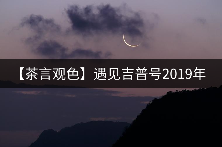 【茶言觀色】遇見吉普號2019年藏山603老班章 【茶言觀色】遇見吉普號2019年藏山603老班章
