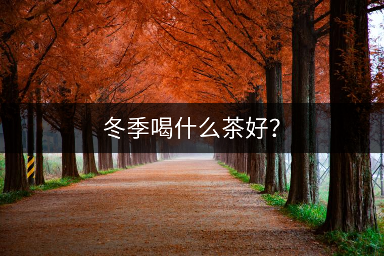 冬季喝什么茶好？