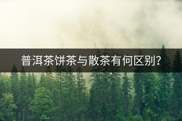 普洱茶餅茶與散茶有何區(qū)別？