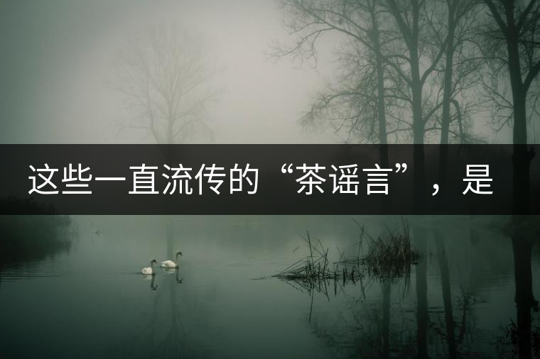 這些一直流傳的“茶謠言”，是時候知道真相了