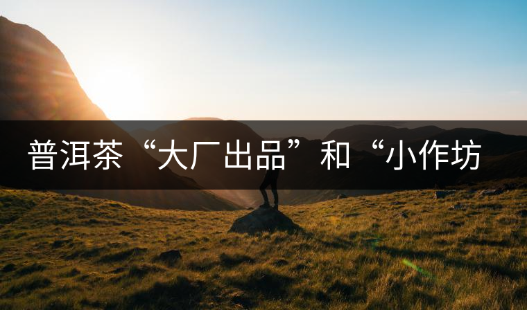 普洱茶“大廠出品”和“小作坊”，哪一個更值得購買？
