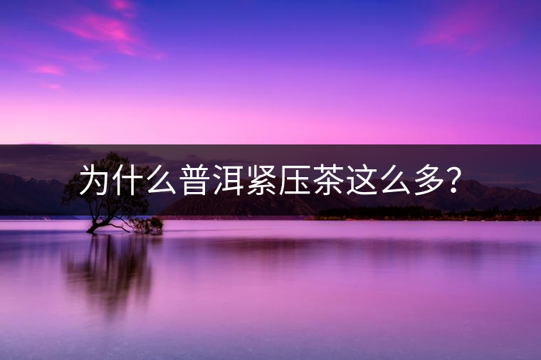 為什么普洱緊壓茶這么多？