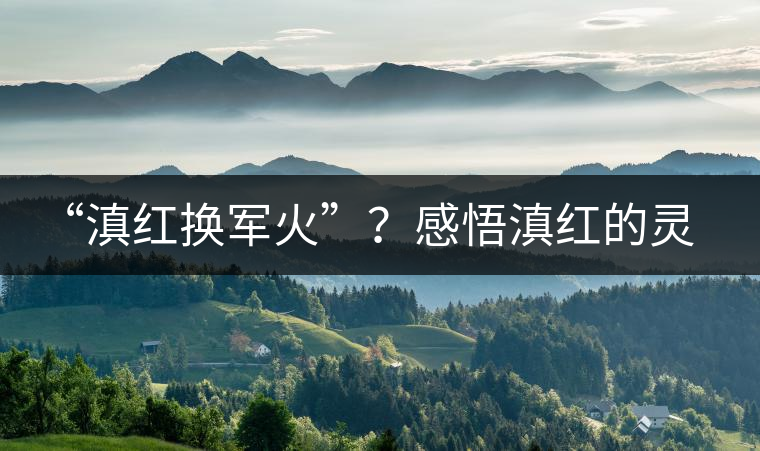 “滇紅換軍火”？感悟滇紅的靈與性！