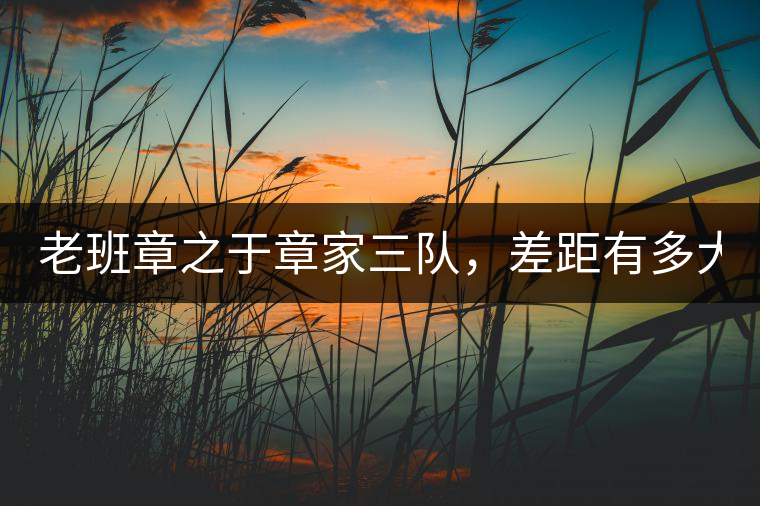 老班章之于章家三隊(duì)，差距有多大？