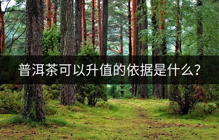 普洱茶可以升值的依據(jù)是什么？