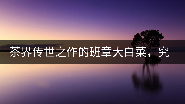茶界傳世之作的班章大白菜，究竟有什么大來頭？
