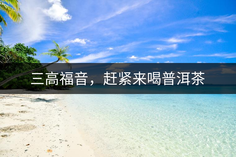 三高福音，趕緊來喝普洱茶