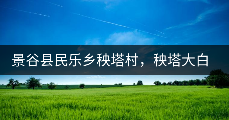 景谷縣民樂鄉(xiāng)秧塔村，秧塔大白茶口感特點(diǎn)