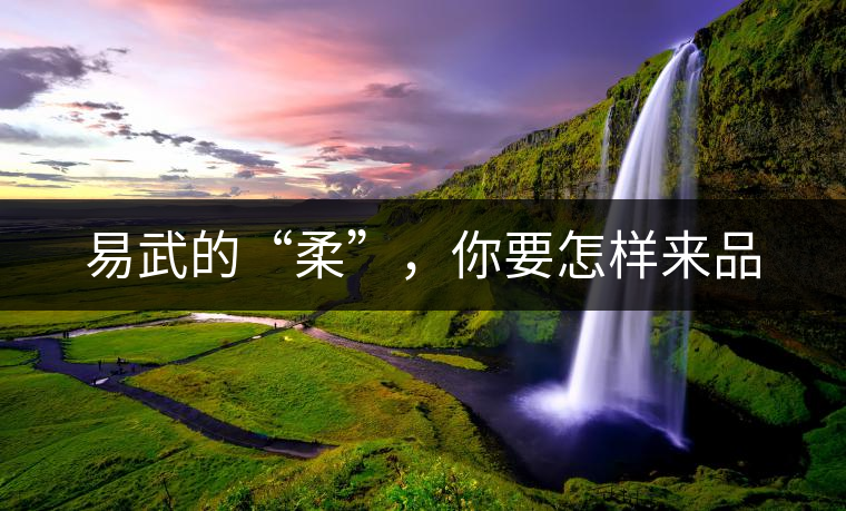 易武的“柔”，你要怎樣來品